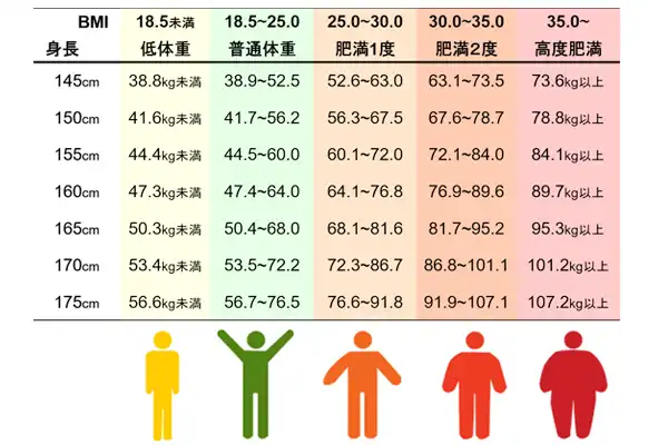 BMI区分の目安図