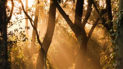 なぜ「男性セラピスト」なのか。選ばれる理由とその先にある充足